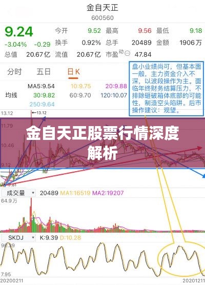 如翚斯飞