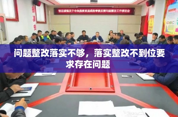 问题整改落实不够，落实整改不到位要求存在问题 