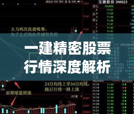 鸷鸟不群