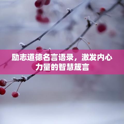 虫言鸟迹