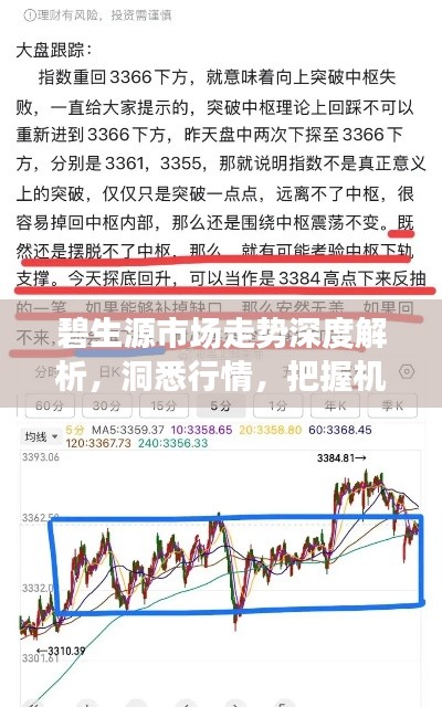 夯雀儿先飞