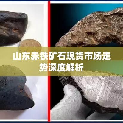 屈高就下