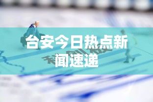 鸿飞雪爪