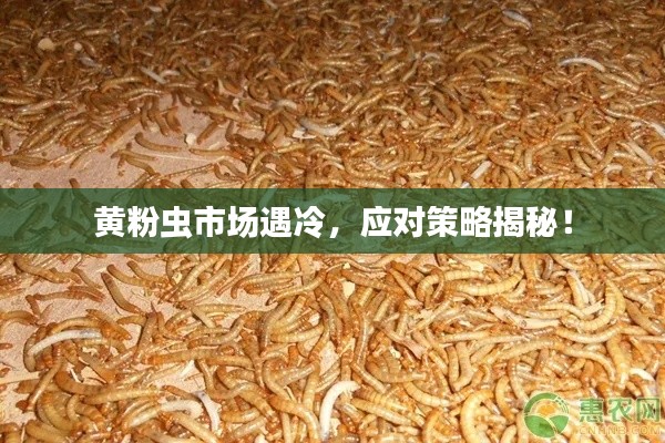 张敞画眉