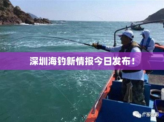 深圳海钓新情报今日发布！