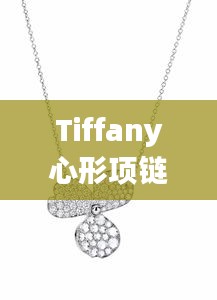 Tiffany心形项链，时尚浪漫之选，价格魅力无限