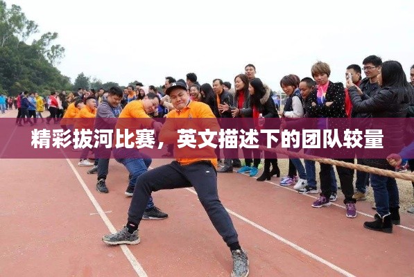 精彩拔河比赛，英文描述下的团队较量