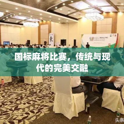 国标麻将比赛，传统与现代的完美交融
