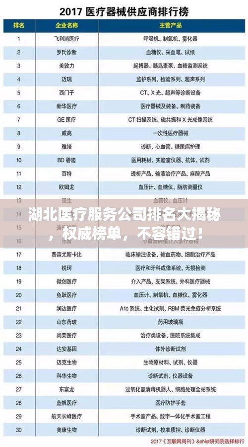 湖北医疗服务公司排名大揭秘，权威榜单，不容错过！