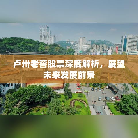 卢卅老窖股票深度解析，展望未来发展前景