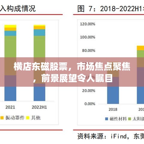 横店东磁股票，市场焦点聚焦，前景展望令人瞩目