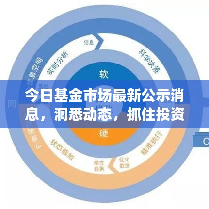 今日基金市场最新公示消息，洞悉动态，抓住投资机遇！